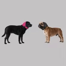dog anxiety calming wrap — in use with pet