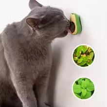 catnip wall ball toy — photo 9