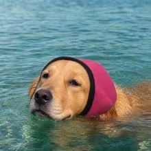 dog anxiety calming wrap — front view