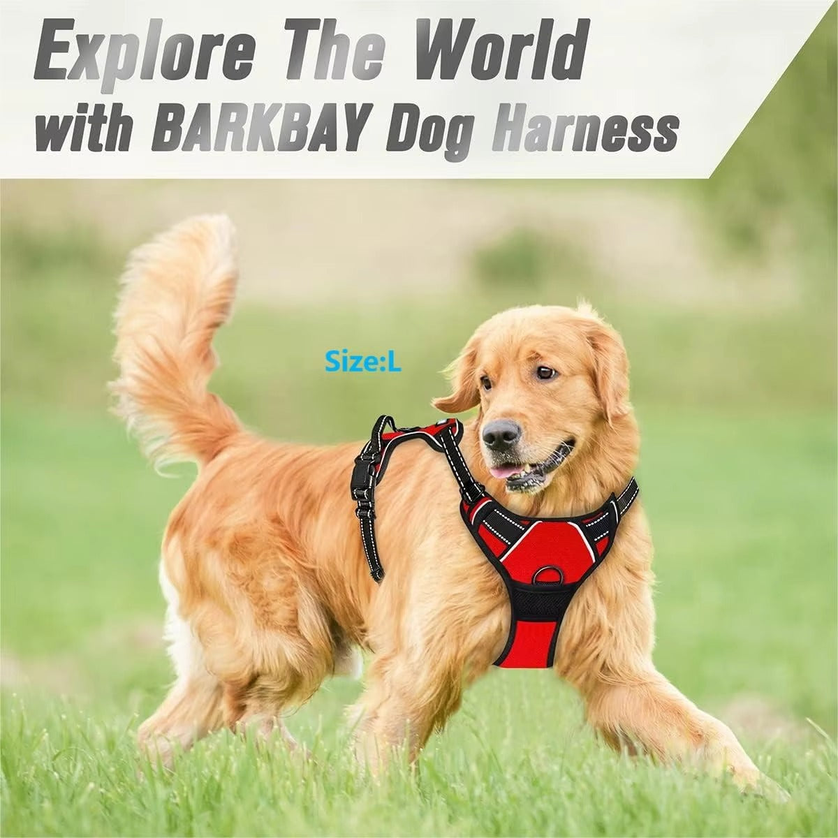 senior dog lift harness — front view