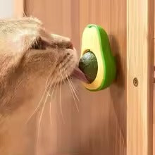 catnip wall ball toy — in use with pet